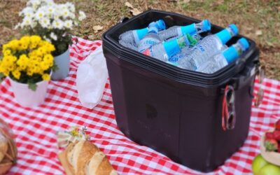 5 dicas para a escolha da melhor caixa térmica para água