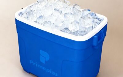 Existe caixa térmica que não derrete o gelo? Saiba a verdade